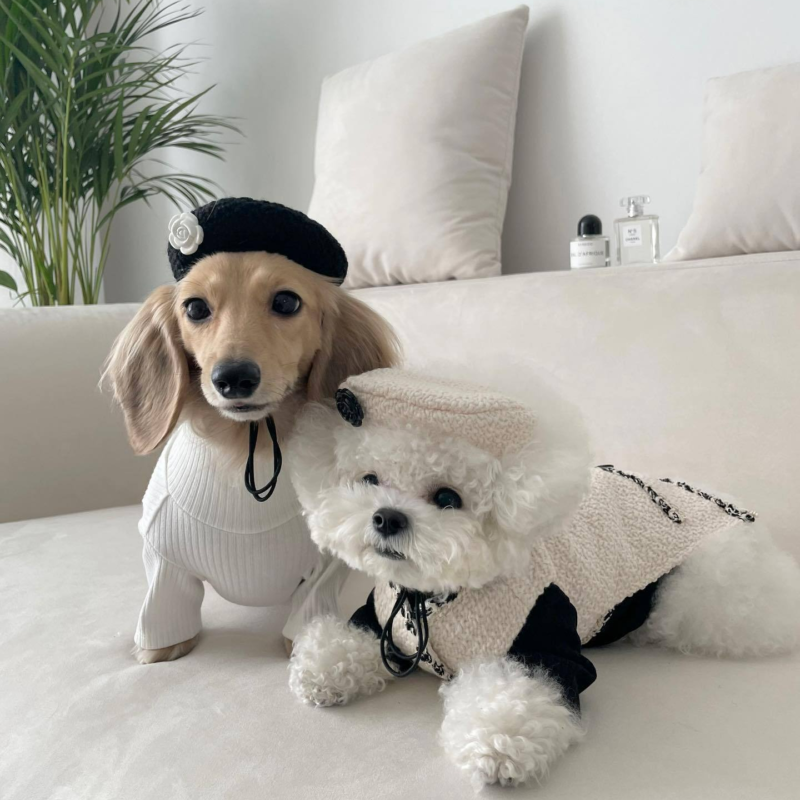 Pet Dog Cat Accessories Knitted Hat - Image 4
