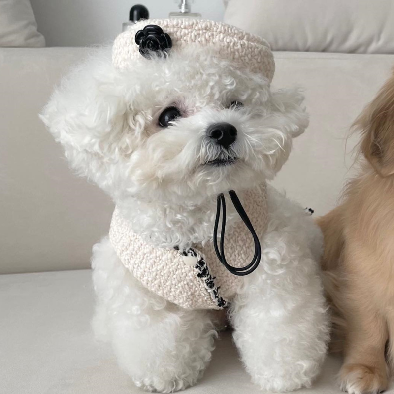 Pet Dog Cat Accessories Knitted Hat - Image 6